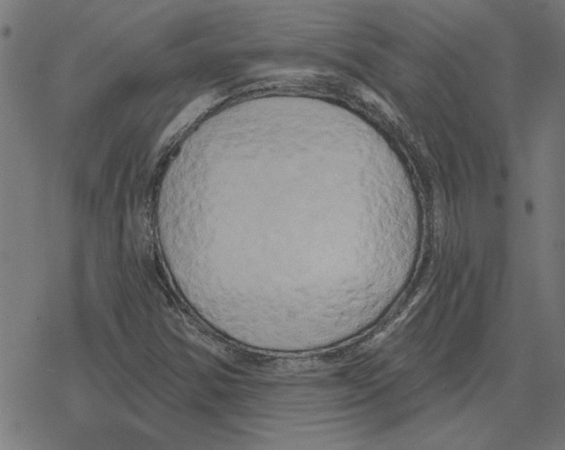 X0000078291354200612011759