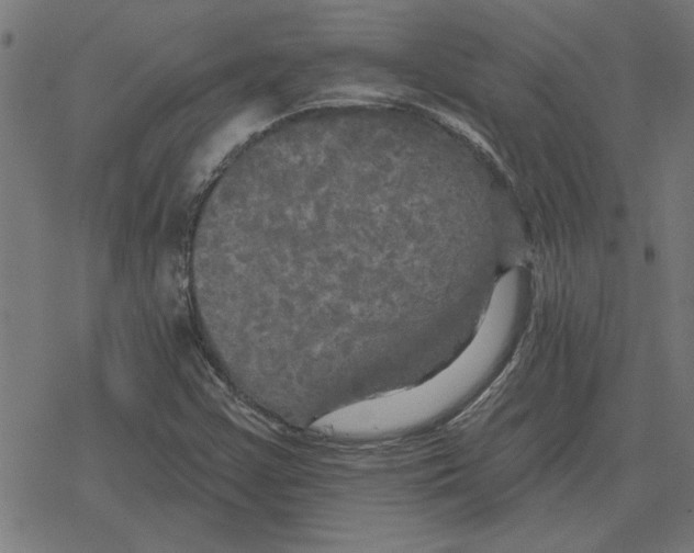 X0000078291355200612011759