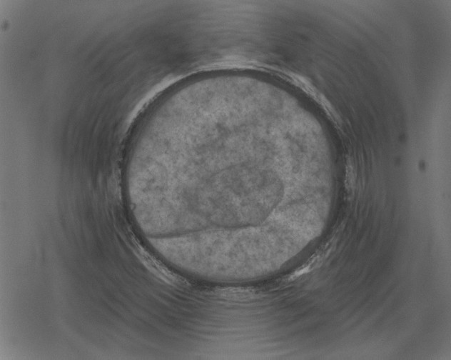 X0000078291356200612011759