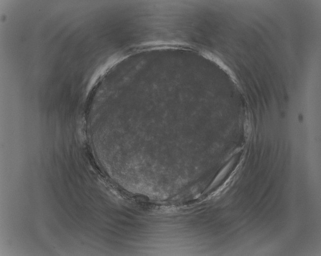 X0000078291357200612011759