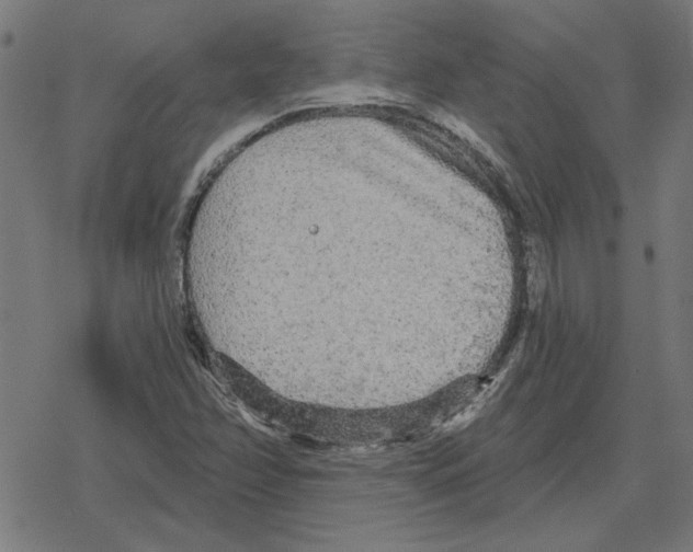 X0000078291358200612011759