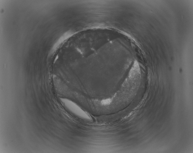 X0000078291359200612011758