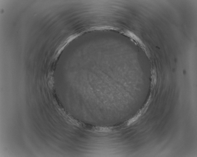 X0000078291361200612011758