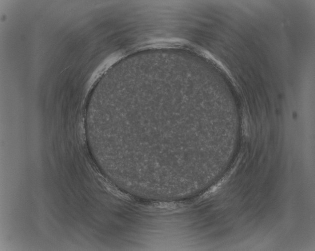 X0000078291362200612011758