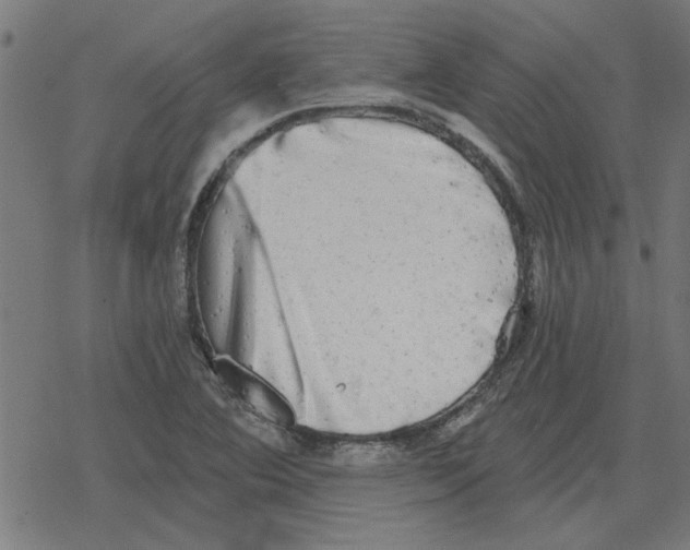 X0000078291364200612011758