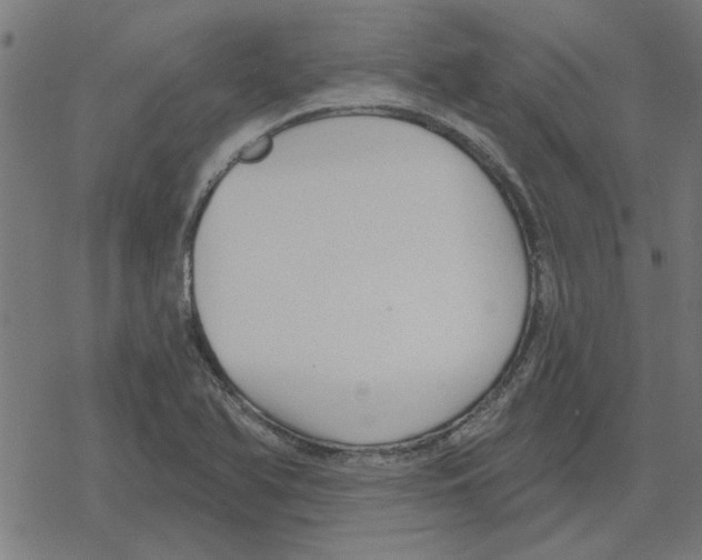 X0000078291366200612011758