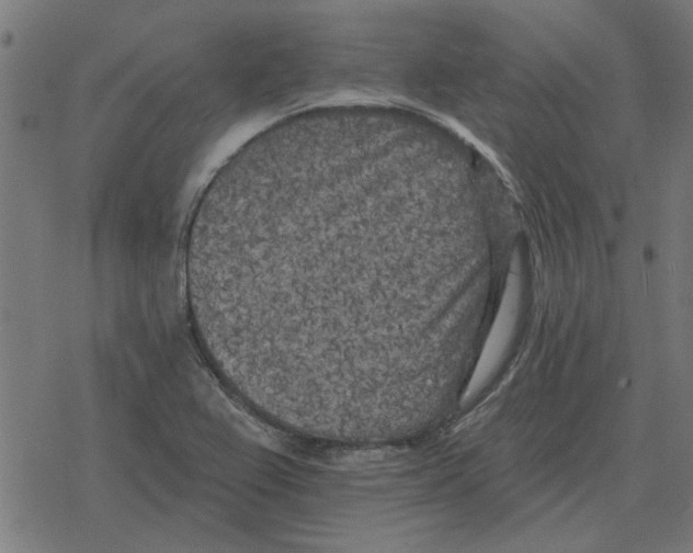 X0000078291367200612011758