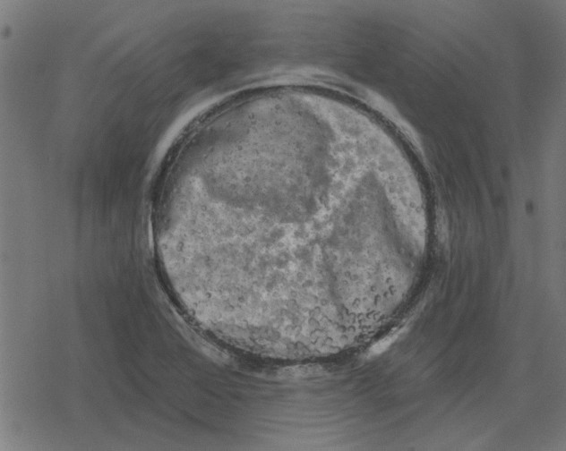 X0000078291368200612011758