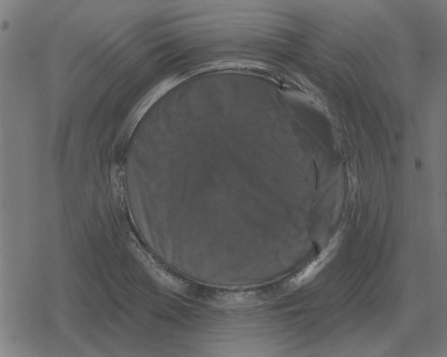 X0000078291369200612011758