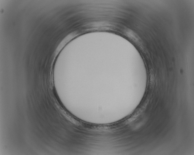 X0000078291370200612011758