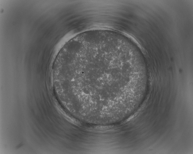 X0000078291371200612011758