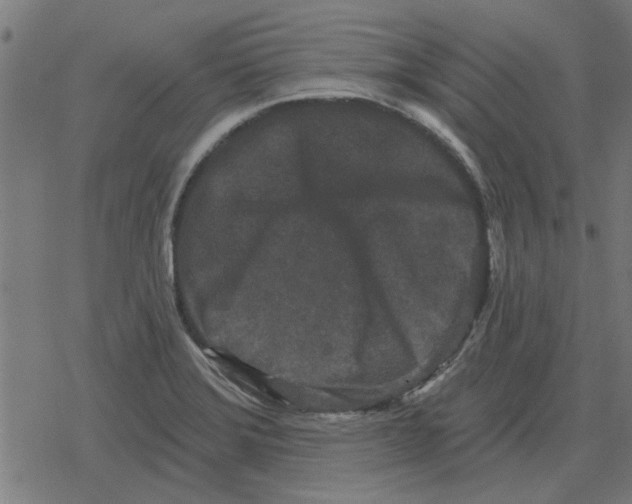 X0000078291372200612011758