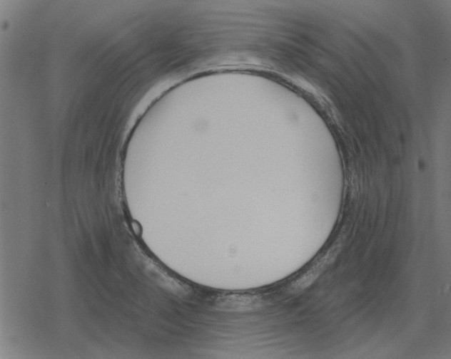 X0000078291374200612011758