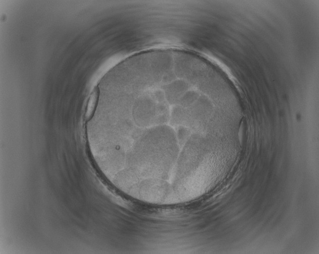 X0000078291375200612011758