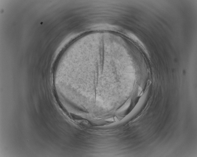 X0000078291376200612011758