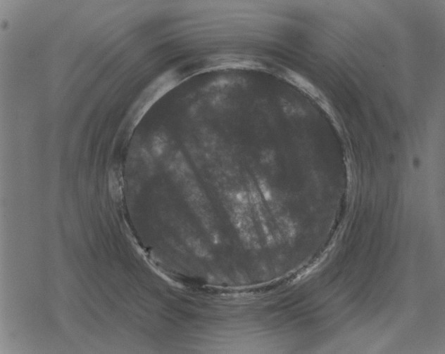 X0000078291377200612011758