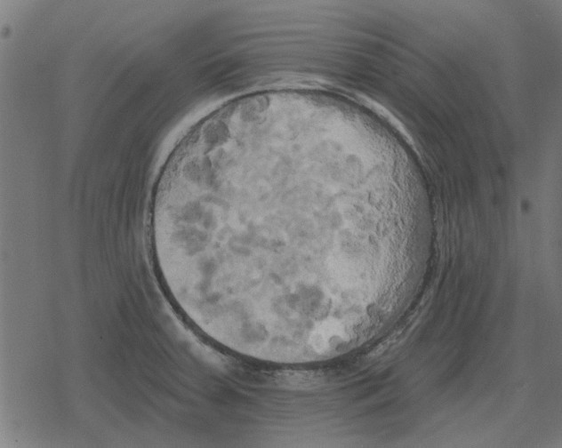 X0000078291379200612011758