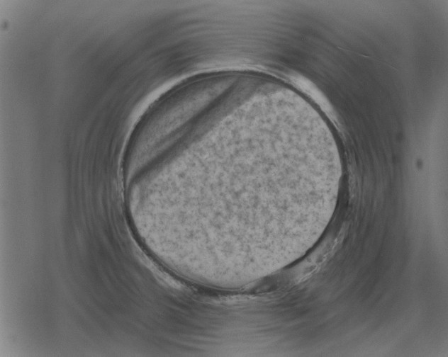 X0000078291380200612011758