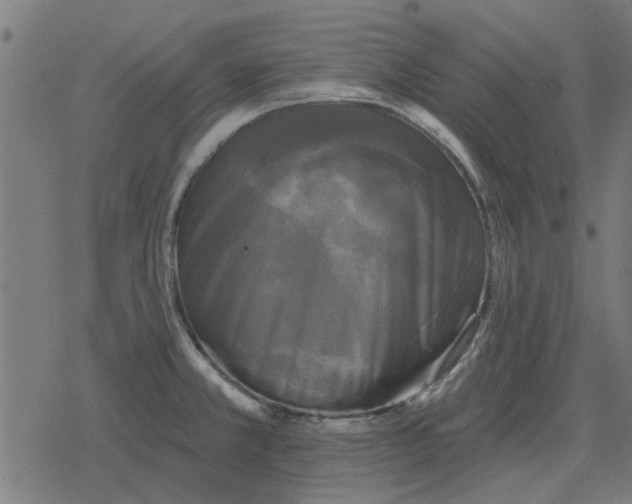 X0000078291381200612011758