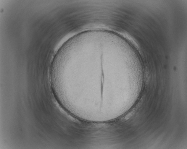 X0000078291382200612011758