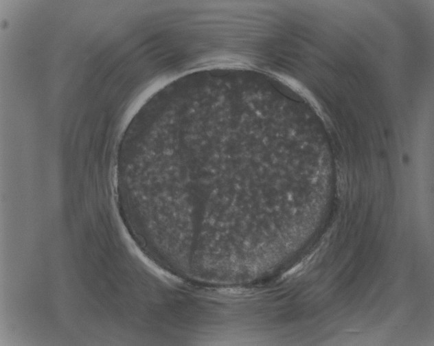 X0000078291383200612011758