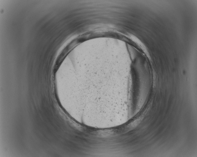 X0000078291384200612011758