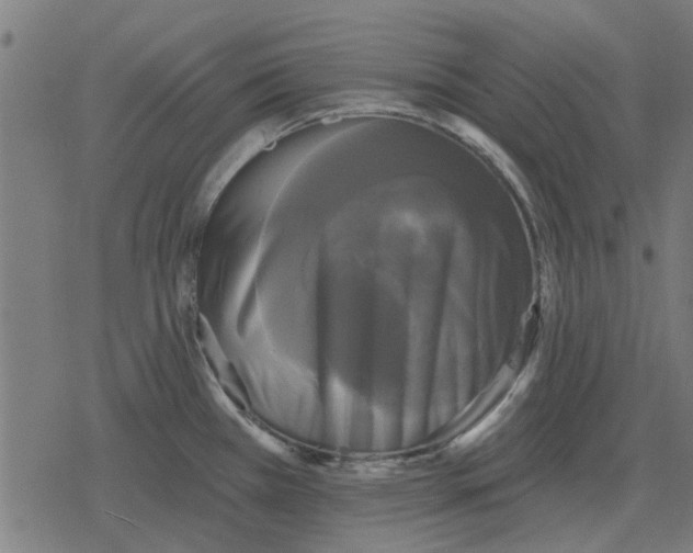 X0000078291385200612011758