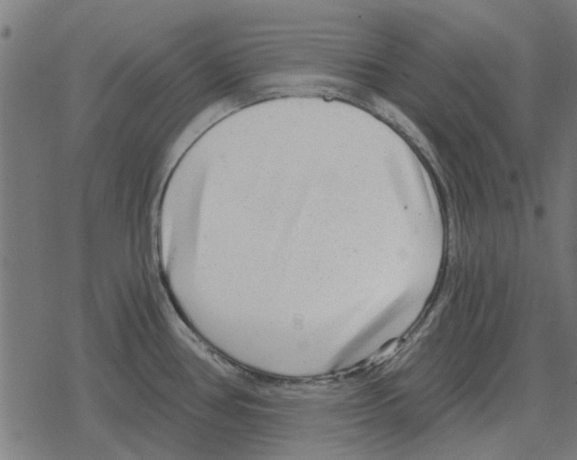 X0000078291386200612011758