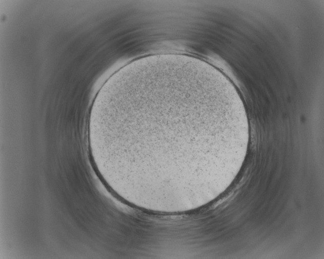 X0000078291387200612011758