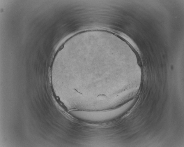 X0000078291388200612011758