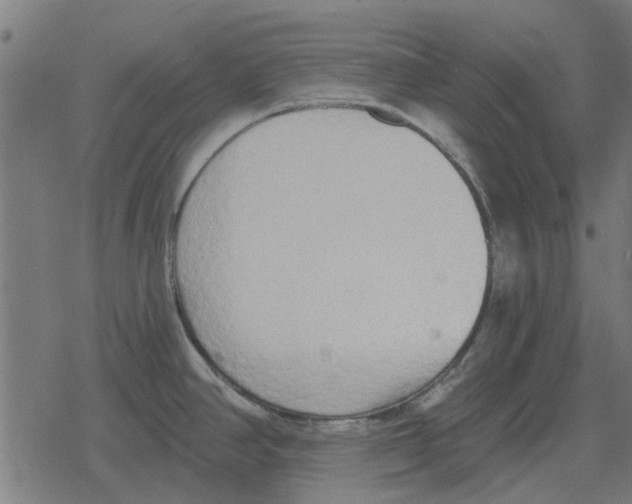 X0000078291390200612011758