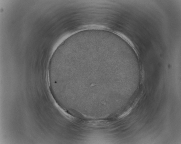 X0000078291391200612011758