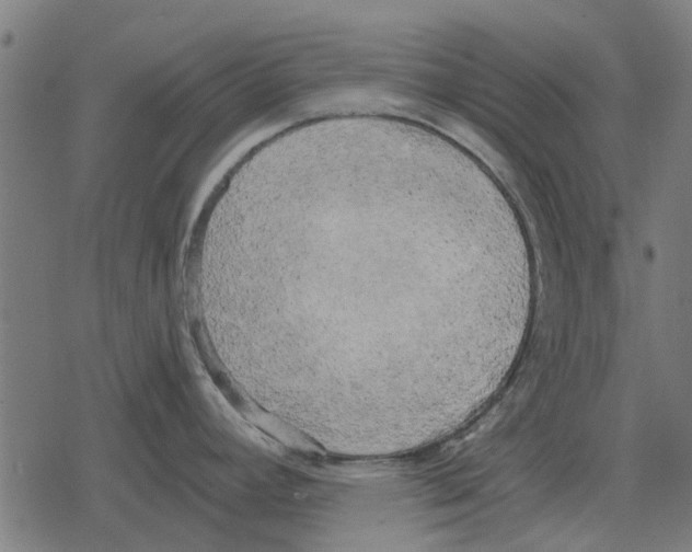 X0000078291392200612011758