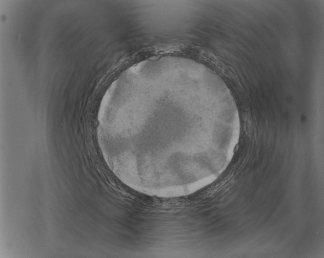 X0000078291393200612011757