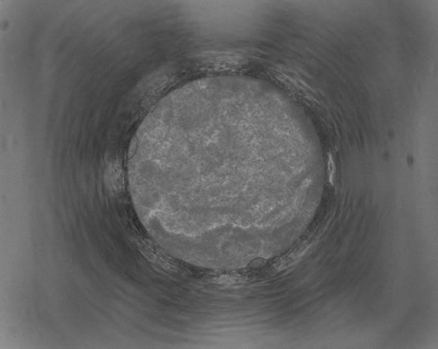 X0000078291395200612011757