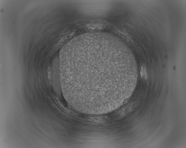 X0000078291396200612011757