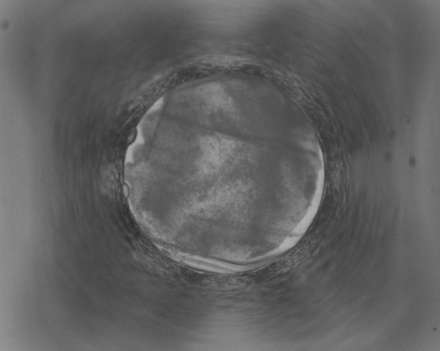 X0000078291397200612011757