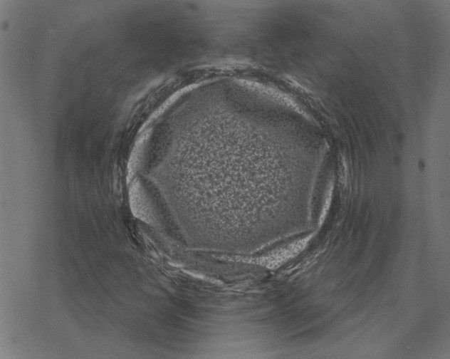 X0000078291398200612011757