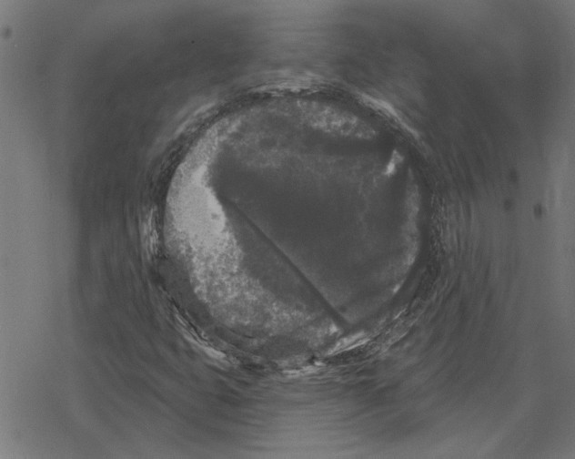 X0000078291399200612011757