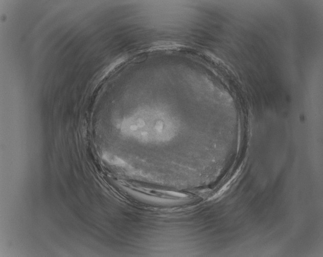 X0000078291401200612011757