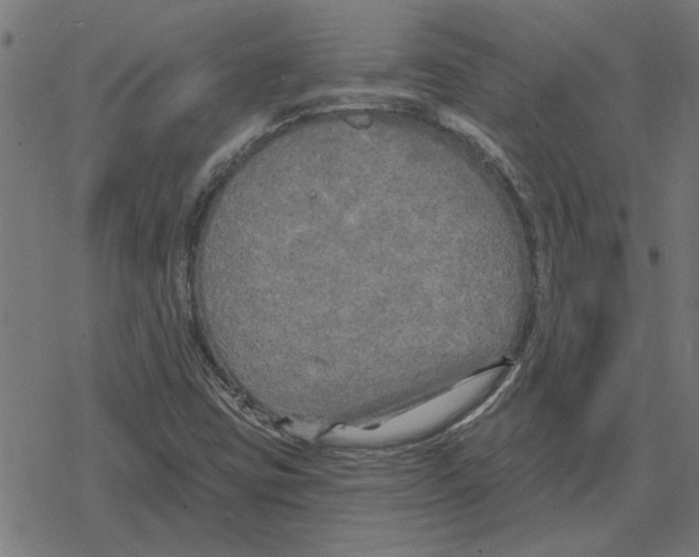 X0000078291403200612011757