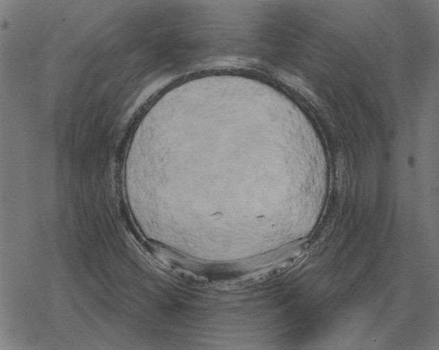 X0000078291404200612011757