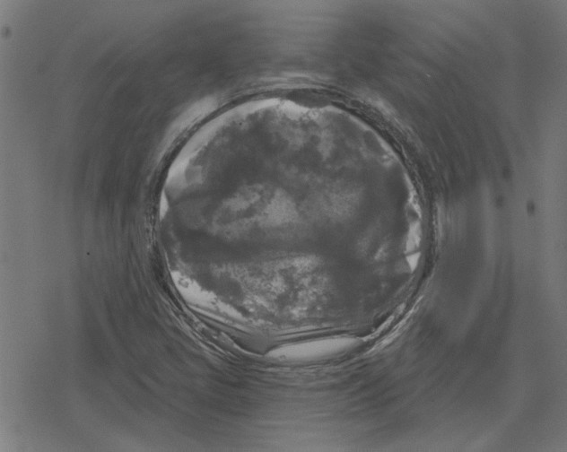 X0000078291405200612011757