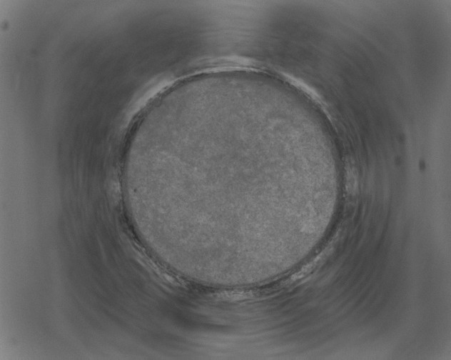 X0000078291407200612011757