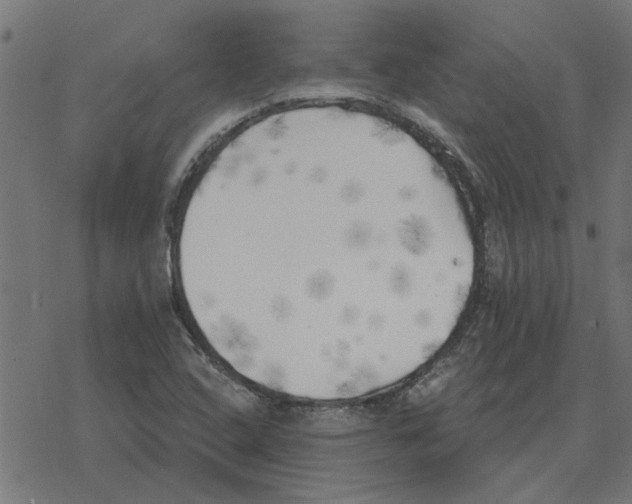 X0000078291408200612011757