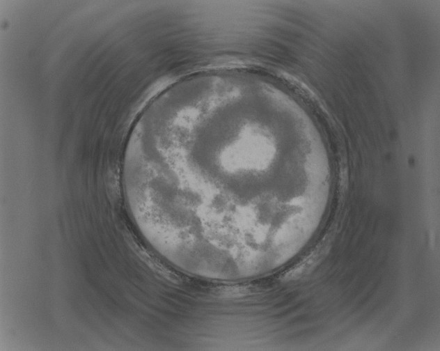 X0000078291409200612011757