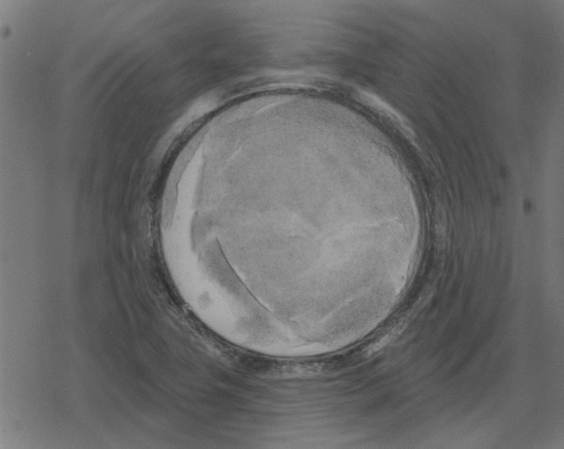 X0000078291411200612011757