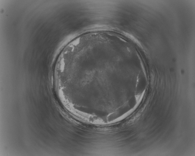 X0000078291413200612011758