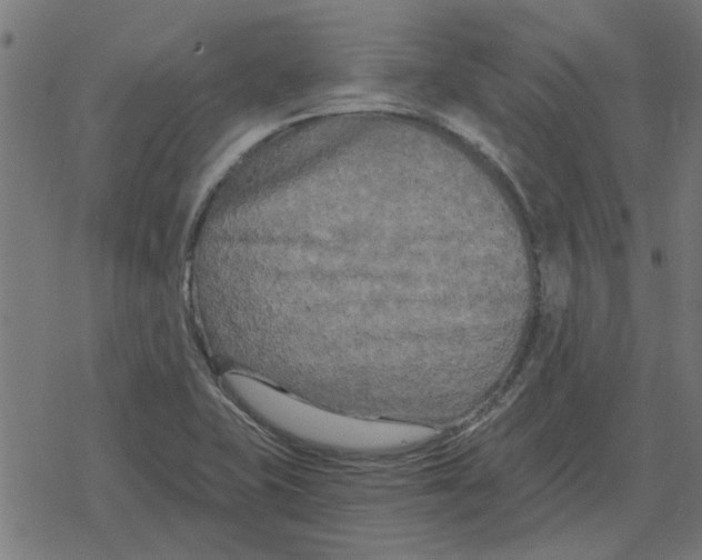 X0000078291415200612011758