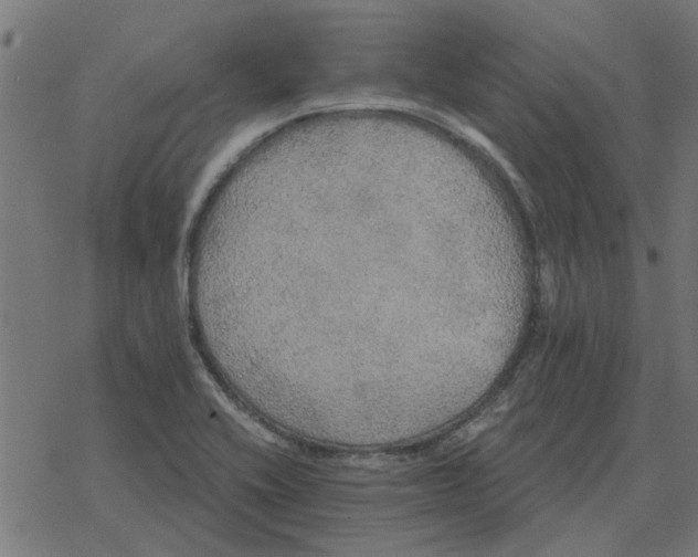 X0000078291416200612011758